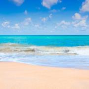 Foto di Somchai Sumnow da Pixabay